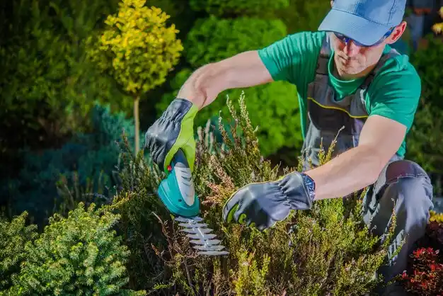 landscaping services Harwich Port